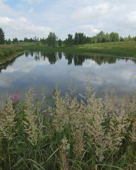 Дом 598м&sup2;, 3-этажный, участок 571 сот.  