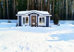 Дом 30м&sup2;, 1-этажный, участок 17 сот.  