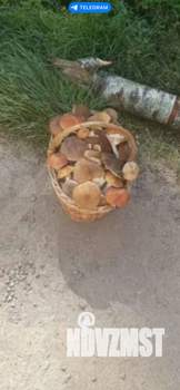 Дом 25м&sup2;, 2-этажный, участок 7 сот.  