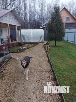 Дом 85м&sup2;, 1-этажный, участок 6 сот.  