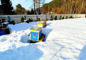 Дом 30м&sup2;, 1-этажный, участок 17 сот.  