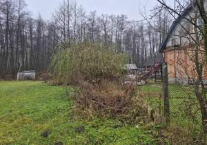 Дом 98м&sup2;, 1-этажный, участок 12 сот.  