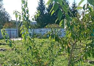 Дом 22м&sup2;, 1-этажный, участок 9 сот.  