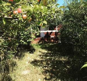 Дом 108м&sup2;, 3-этажный, участок 17 сот.  