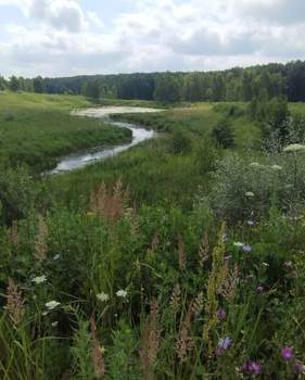 Дом 598м&sup2;, 3-этажный, участок 571 сот.  