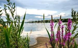 Дом 433м², 3-этажный, участок 34 сот.  