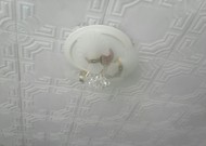 Фото комнаты в аренду (4)