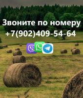 Фото комнаты в аренду (8)