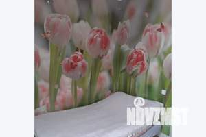 1-к квартира, посуточно, 25м2, 4/4 этаж