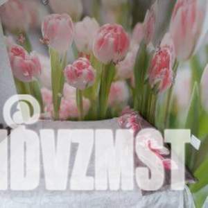 1-к квартира, посуточно, 25м2, 4/4 этаж