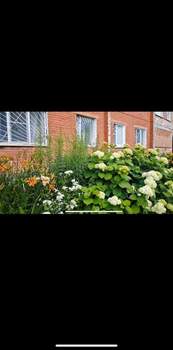 1-к квартира, вторичка, 37м2, 1/3 этаж