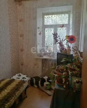 Фото квартиры на продажу (8)