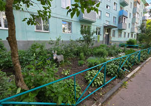 Фото квартиры на продажу (1)